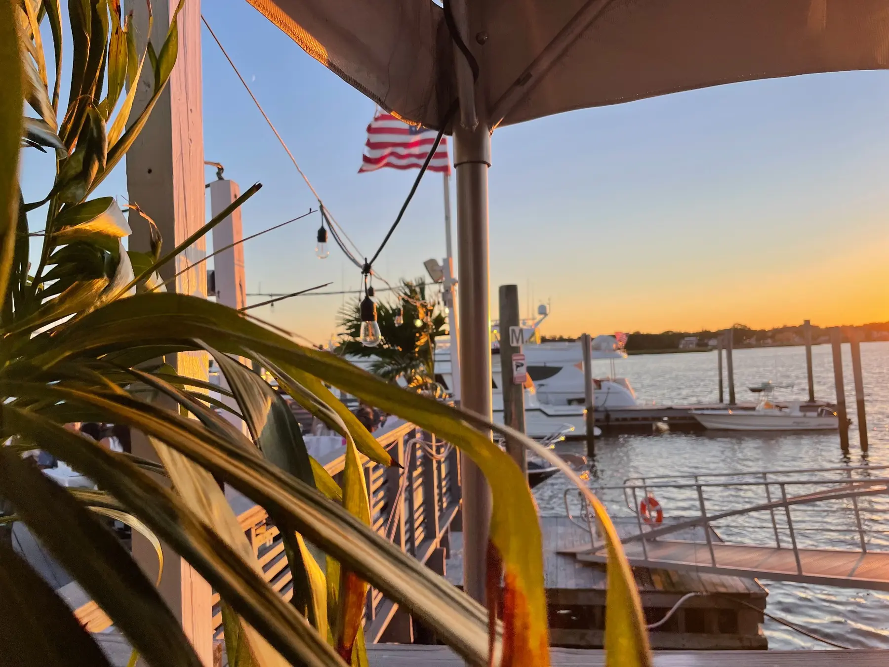 Waterfront at sunset framed by plants and an American flag